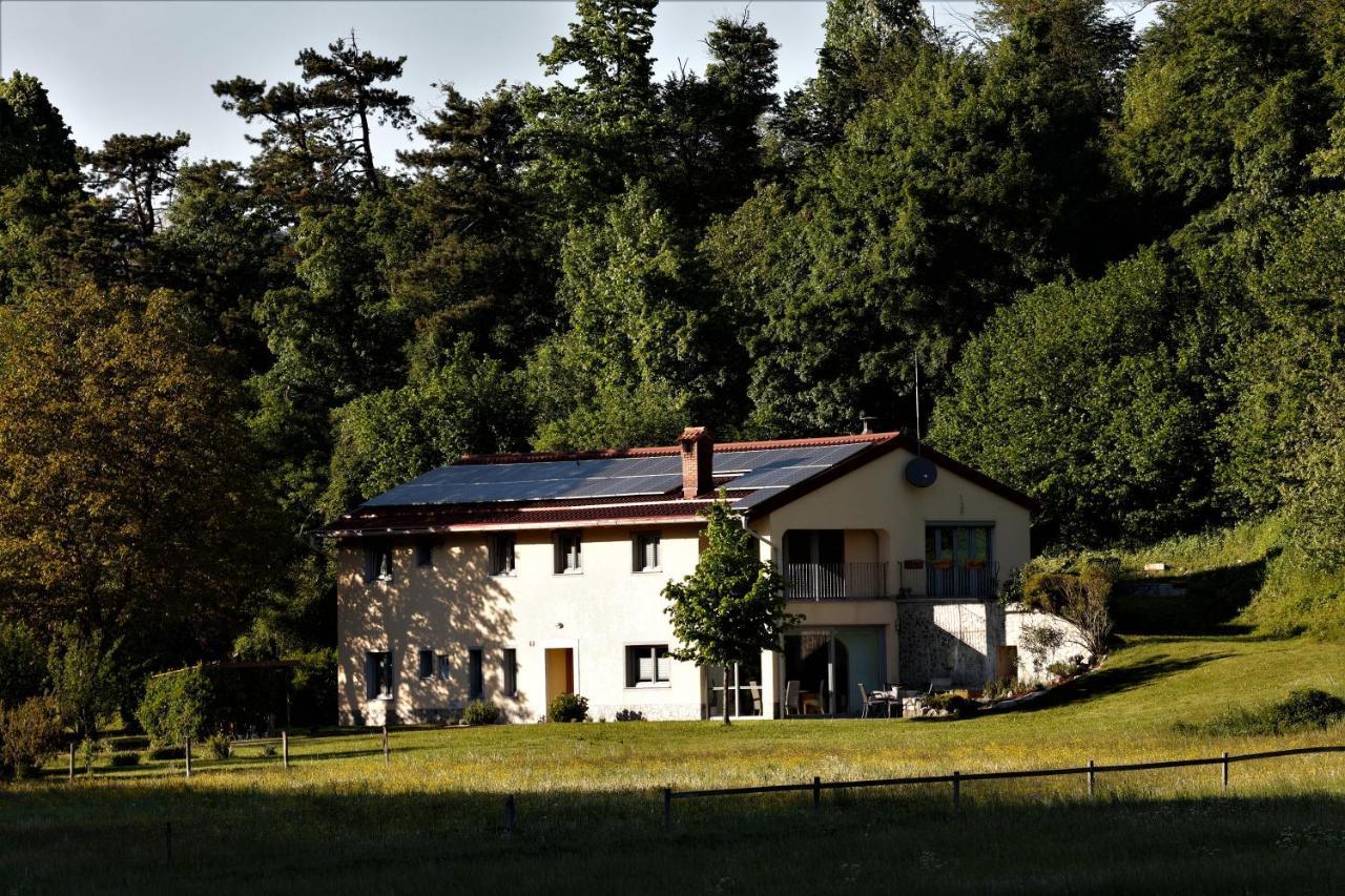 Guesthouse Idila Pod Nanosom Senozece 外观 照片