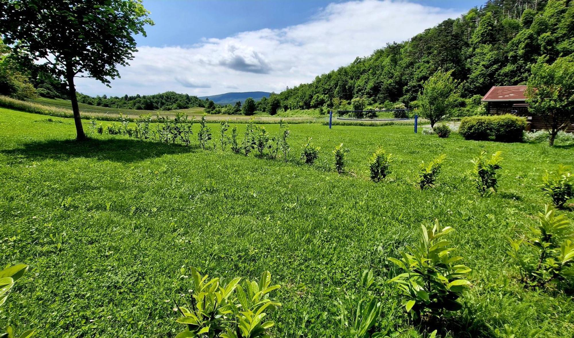 Guesthouse Idila Pod Nanosom Senozece 外观 照片